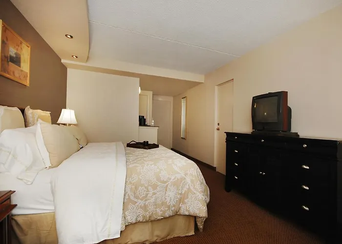 Plaza Inn & Suites